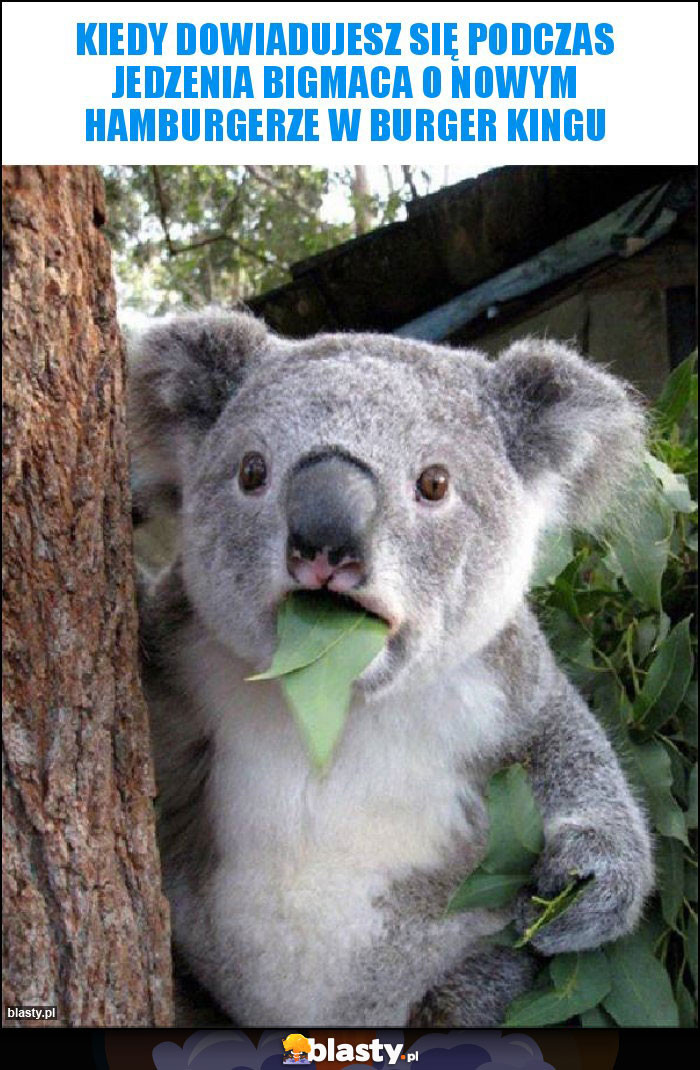 kiedy dowiadujesz się podczas jedzenia bigmaca o nowym hamburgerze w burger kingu