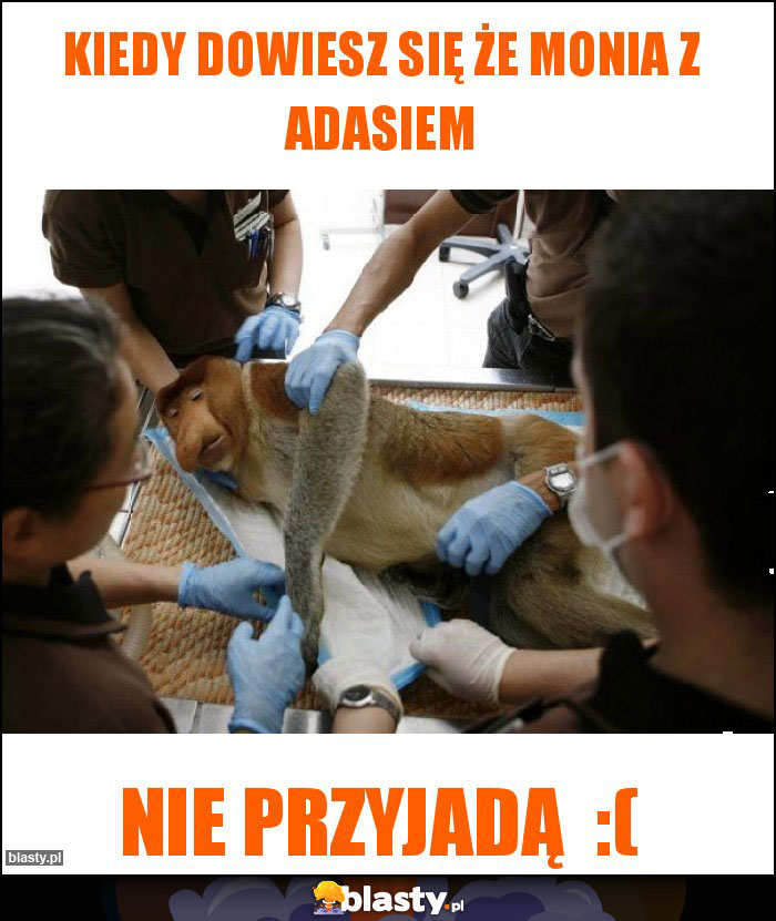 Kiedy dowiesz się że Monia z Adasiem Kiedy dowiesz się że Monia z Adasiem