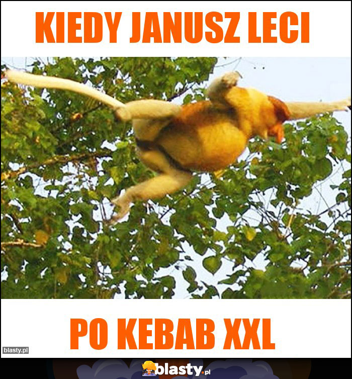 Kiedy Janusz leci Kiedy Janusz leci