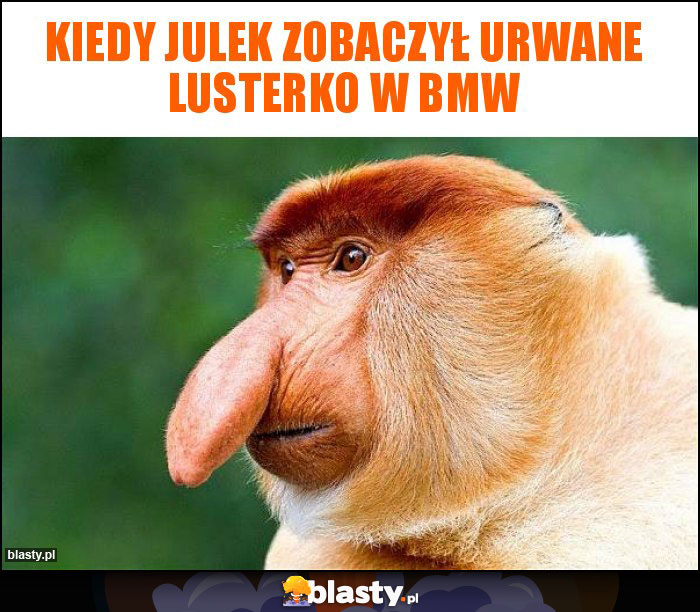 kiedy JULEK zobaczył urwane lusterko w BMW kiedy JULEK zobaczył urwane lusterko w BMW