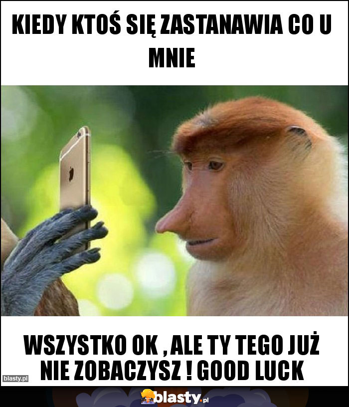 Kiedy ktoś się zastanawia co u mnie Kiedy ktoś się zastanawia co u mnie