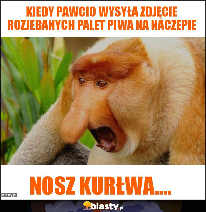 Kiedy Pawcio wysyła zdjęcie rozjebanych palet piwa na naczepie Kiedy Pawcio wysyła zdjęcie rozjebanych palet piwa na naczepie