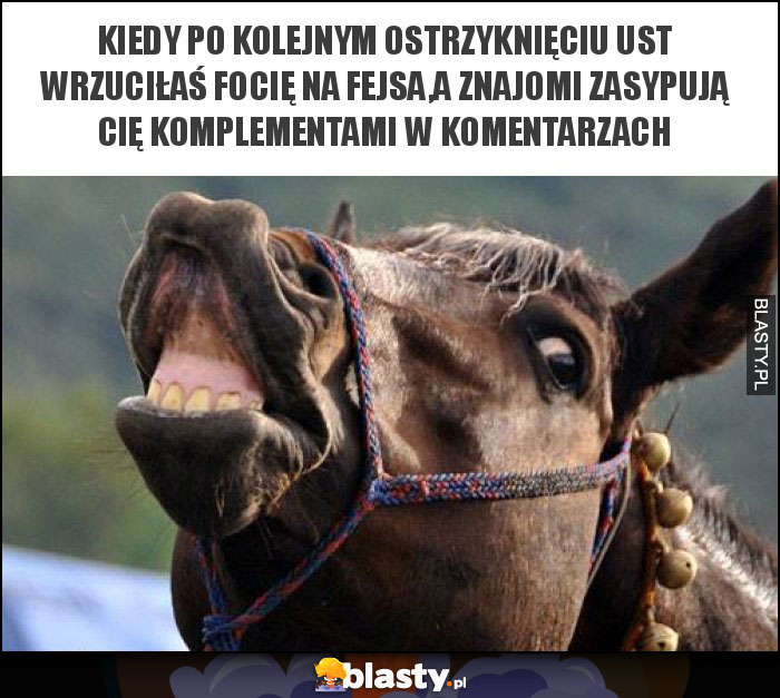 kiedy po kolejnym ostrzyknięciu ust wrzuciłaś focię na fejsa,a znajomi zasypują cię komplementami w komentarzach kiedy po kolejnym ostrzyknięciu ust wrzuciłaś focię na fejsa,a znajomi zasypują cię komplementami w komentarzach