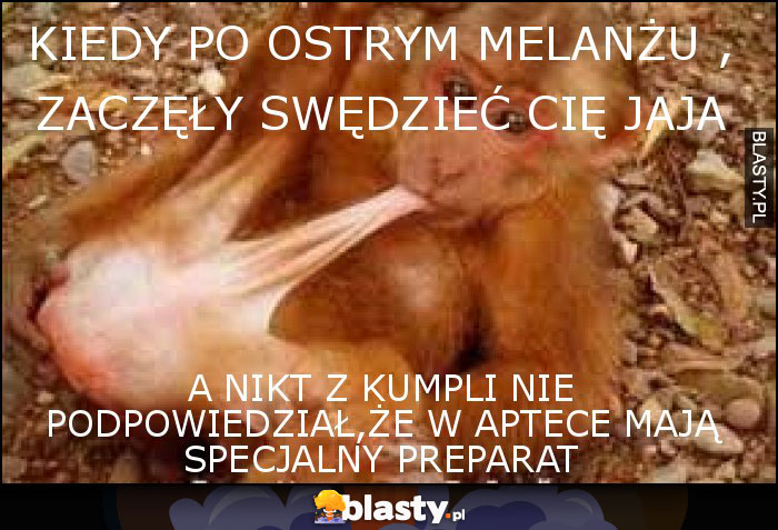 KIEDY PO OSTRYM MELANŻU , ZACZĘŁY SWĘDZIEĆ CIĘ JAJA KIEDY PO OSTRYM MELANŻU , ZACZĘŁY SWĘDZIEĆ CIĘ JAJA