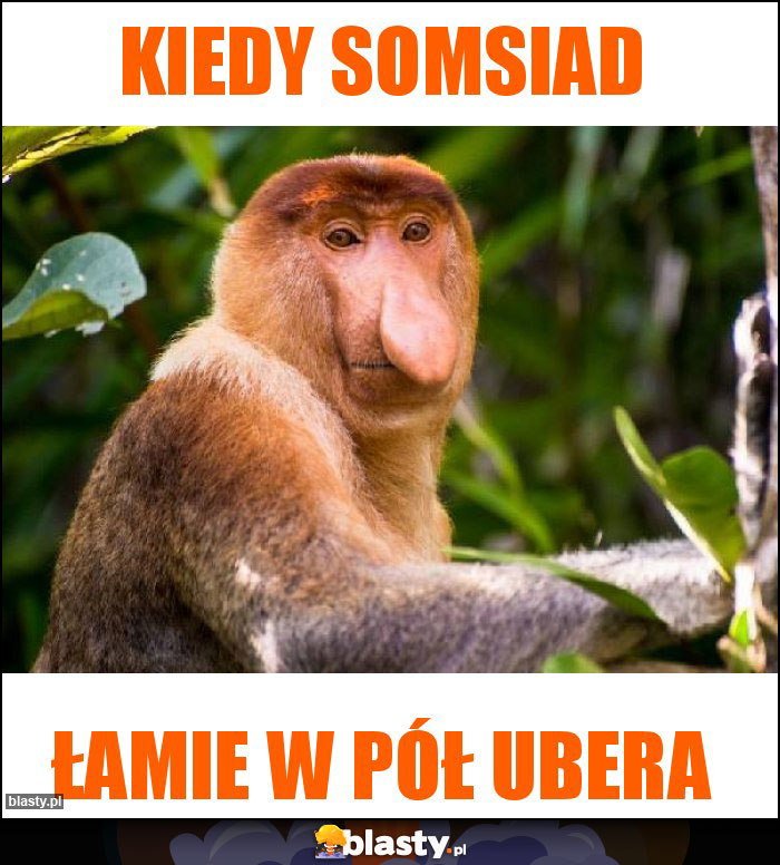 Kiedy somsiad Kiedy somsiad