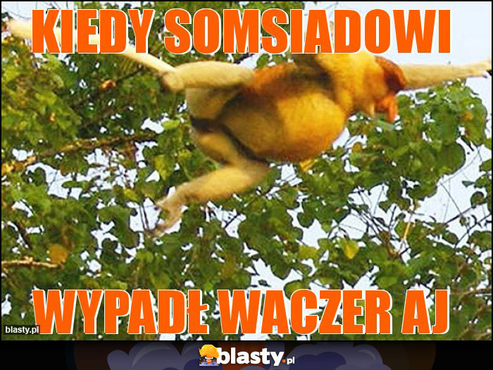 kiedy somsiadowi kiedy somsiadowi