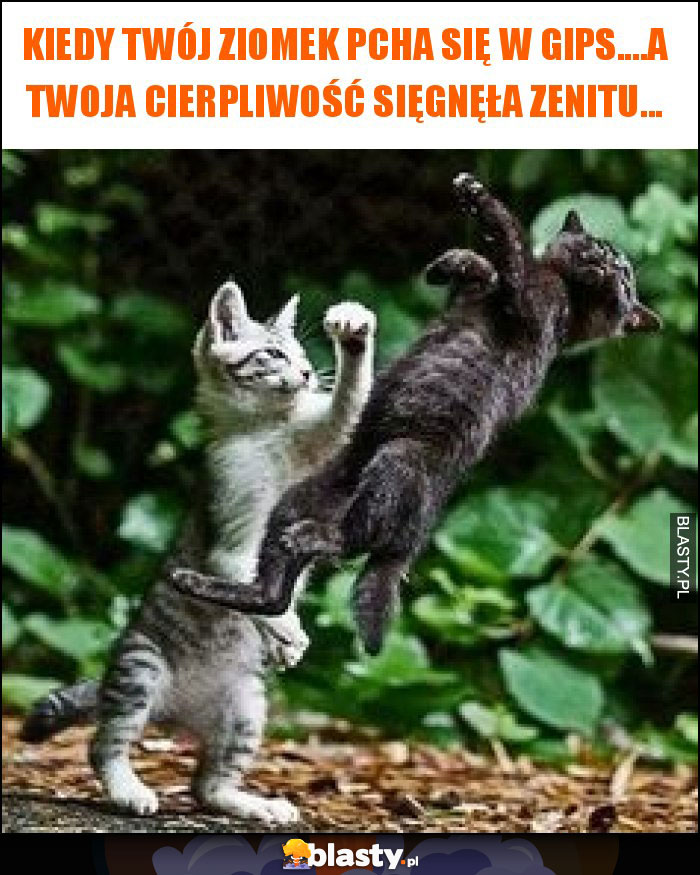 kiedy twój ziomek pcha się w gips....a twoja cierpliwość sięgnęła zenitu... kiedy twój ziomek pcha się w gips....a twoja cierpliwość sięgnęła zenitu...