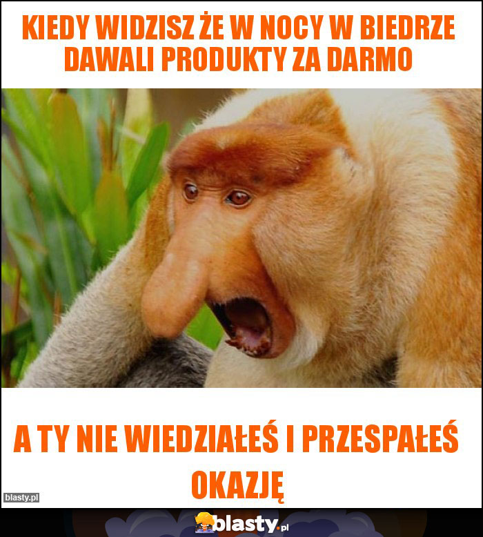 Kiedy widzisz że w nocy w biedrze dawali produkty za darmo Kiedy widzisz że w nocy w biedrze dawali produkty za darmo