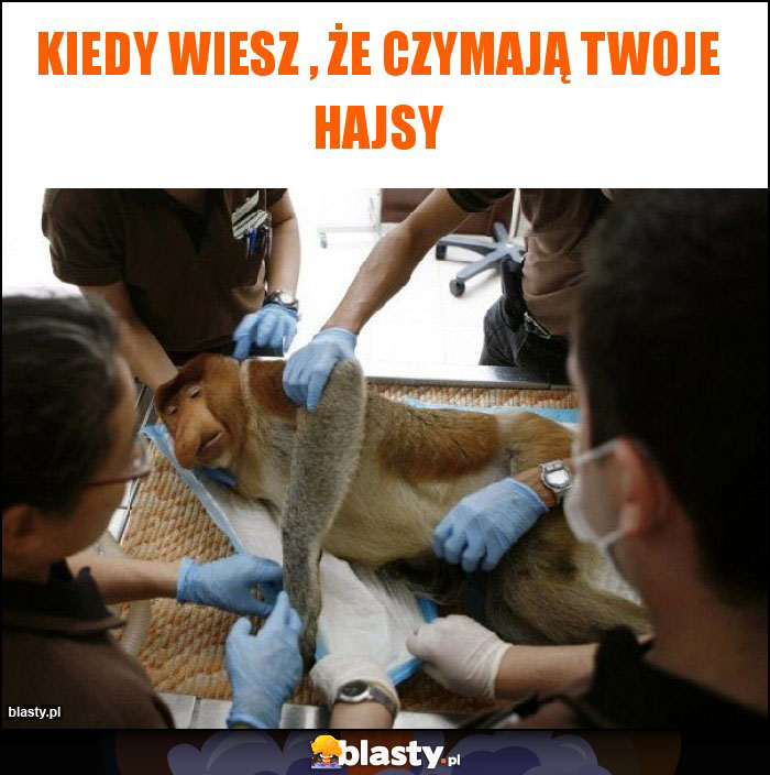 Kiedy wiesz , że czymają Twoje hajsy Kiedy wiesz , że czymają Twoje hajsy
