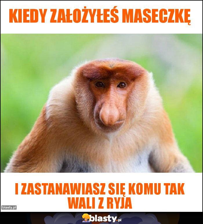 Kiedy założyłeś maseczkę Kiedy założyłeś maseczkę