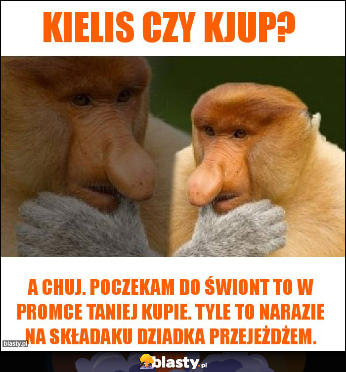 Kielis czy Kjup? Kielis czy Kjup?