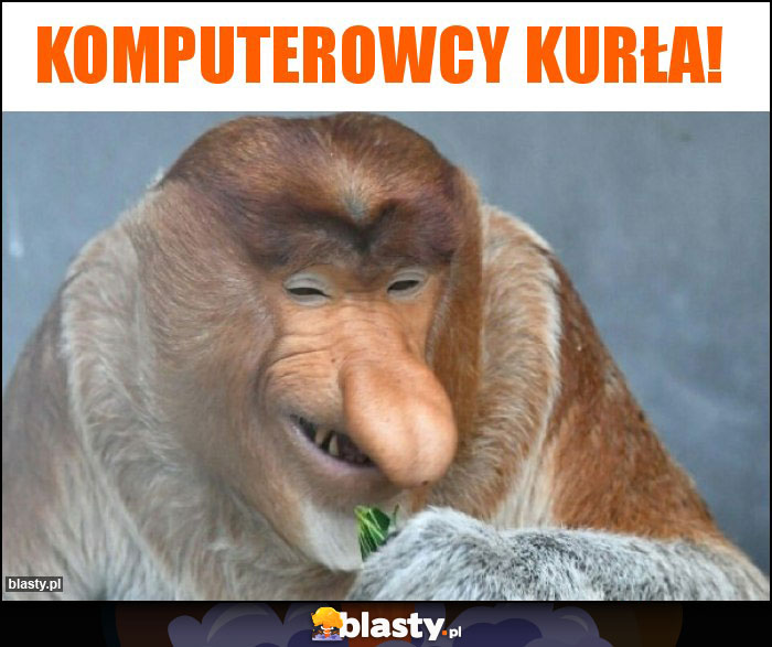 Komputerowcy kurła! Komputerowcy kurła!