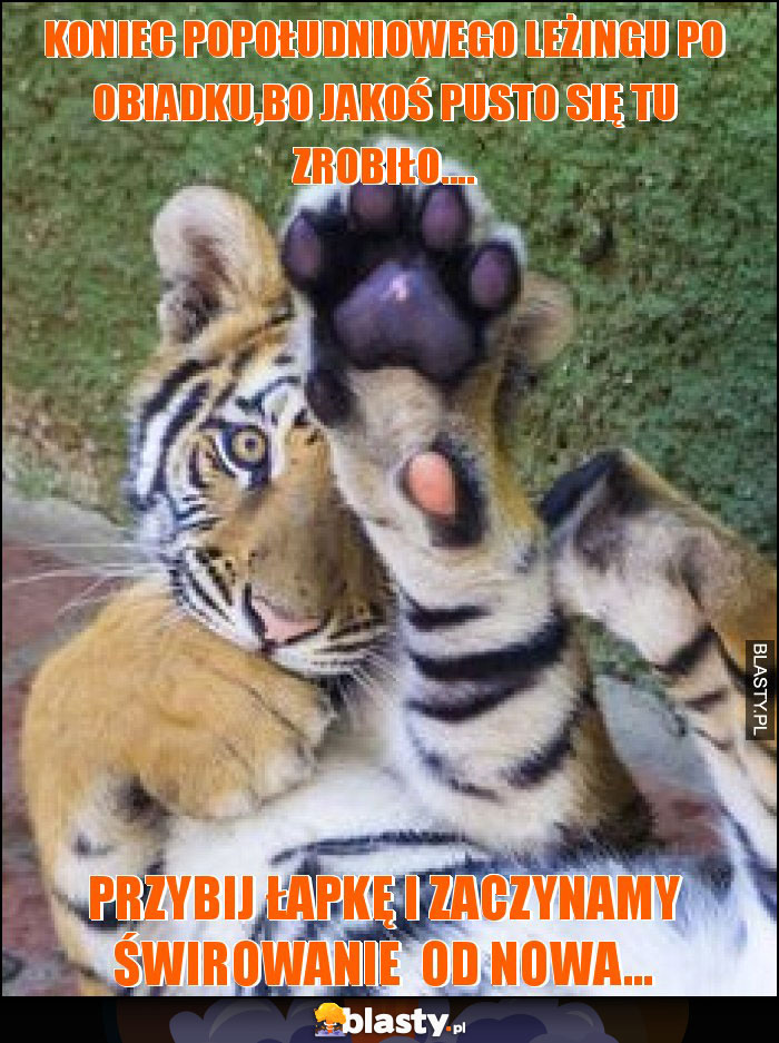 koniec popołudniowego leżingu po obiadku,bo jakoś pusto się tu zrobiło.... koniec popołudniowego leżingu po obiadku,bo jakoś pusto się tu zrobiło....
