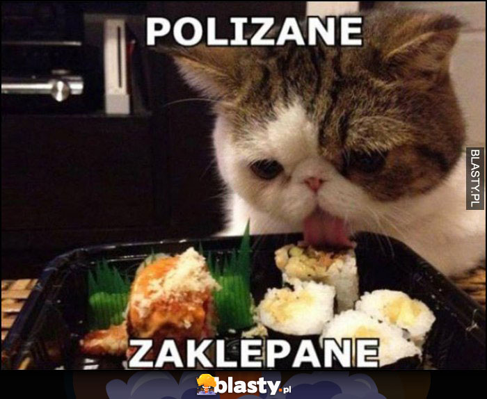 Kot sushi polizane zaklepane