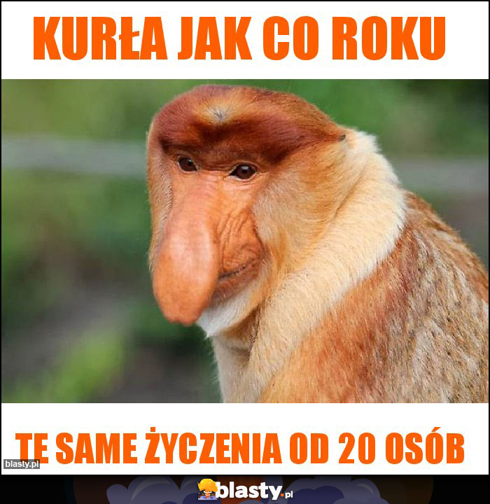 Kurła jak co roku Kurła jak co roku