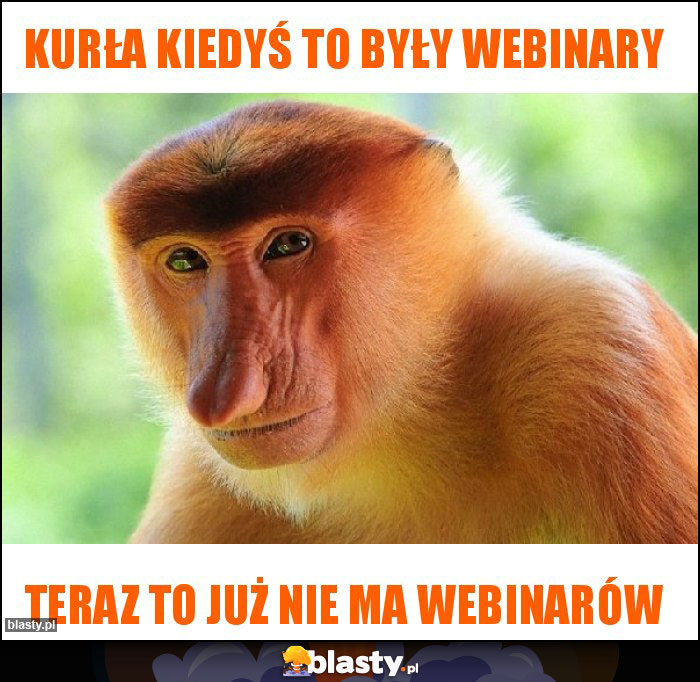 Kurła kiedyś to były webinary