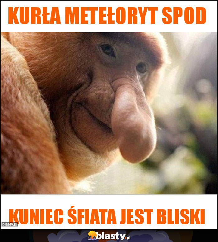 Kurła metełoryt spod Kurła metełoryt spod