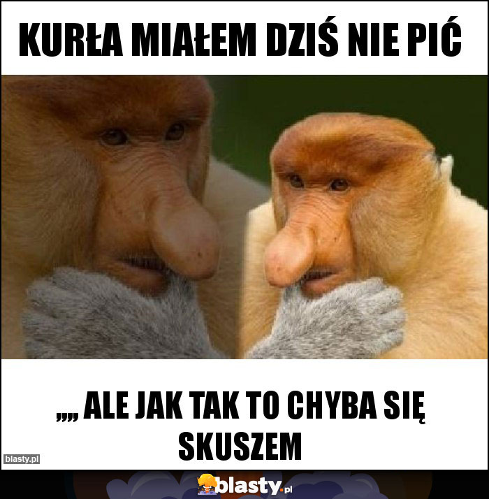 Kurła miałem dziś nie pić