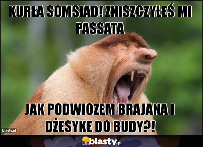 kurła somsiad! zniszczyłeś mi passata kurła somsiad! zniszczyłeś mi passata