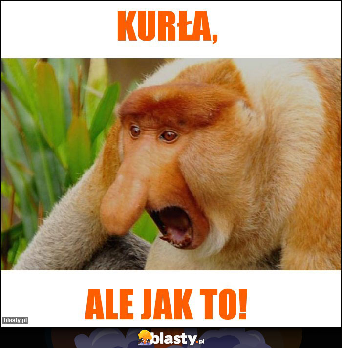 Kurła,