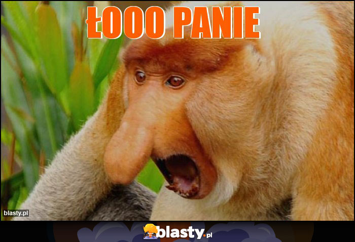Łooo panie Łooo panie