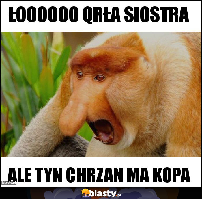 Łoooooo qrła siostra Łoooooo qrła siostra