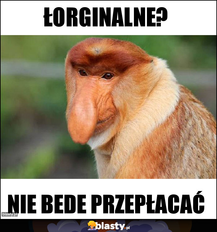 Łorginalne? Łorginalne?