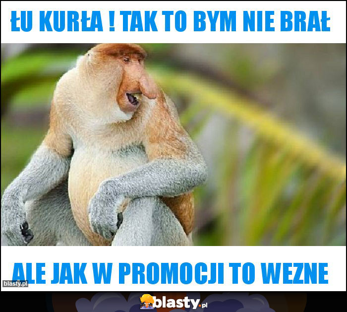 Łu kurła ! Tak to bym nie brał Łu kurła ! Tak to bym nie brał