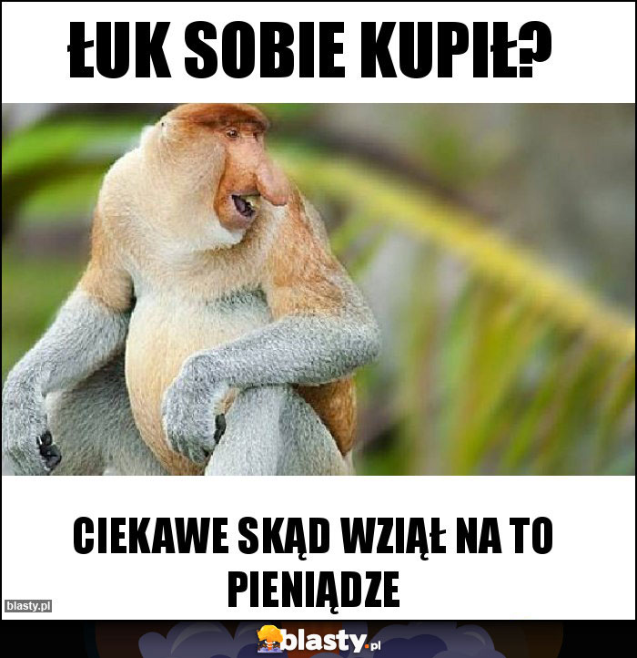 łuk sobie kupił? łuk sobie kupił?