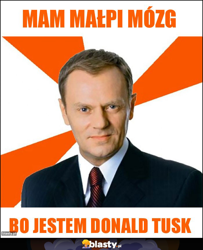 Mam Małpi Mózg Mam Małpi Mózg