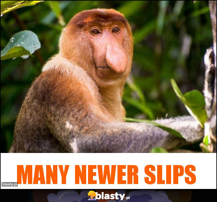 Many newer slips Many newer slips