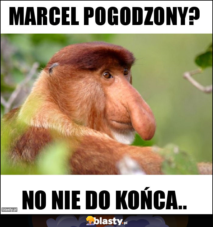 Marcel pogodzony? Marcel pogodzony?