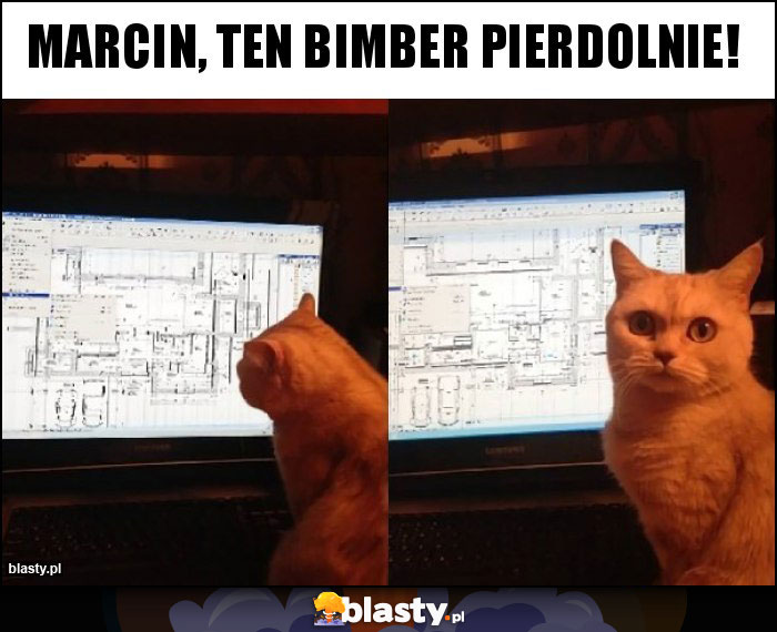 Marcin, ten bimber pierdolnie! Marcin, ten bimber pierdolnie!