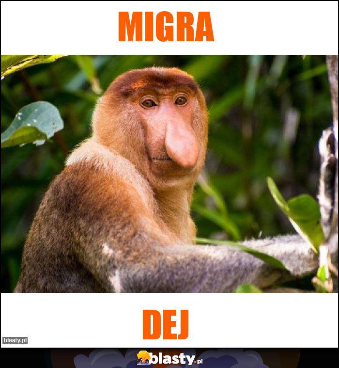 Migra