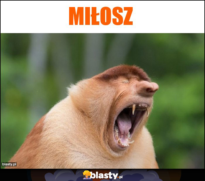 Miłosz