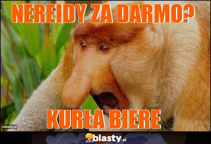 nereidy za darmo? nereidy za darmo?