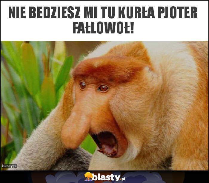 Nie bedziesz mi tu kurła Pjoter fałlowoł! Nie bedziesz mi tu kurła Pjoter fałlowoł!