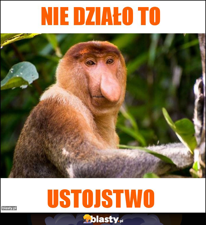 Nie działo to Nie działo to