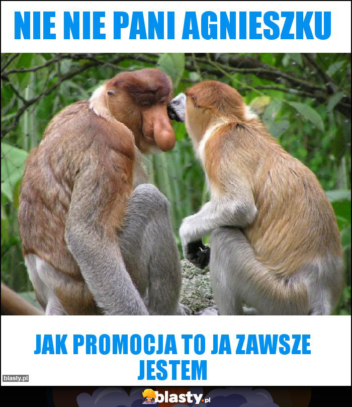 Nie nie Pani Agnieszku Nie nie Pani Agnieszku