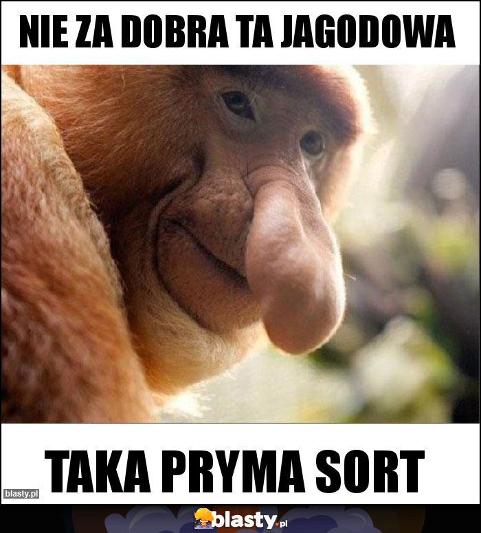 Nie za dobra ta jagodowa Nie za dobra ta jagodowa