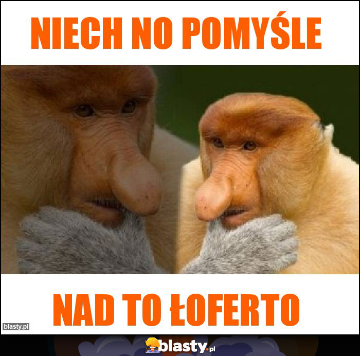 NIECH No pomyśle NIECH No pomyśle