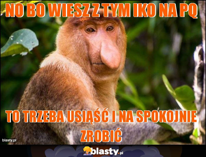 NO bo wiesz z tym IKO NA pq NO bo wiesz z tym IKO NA pq