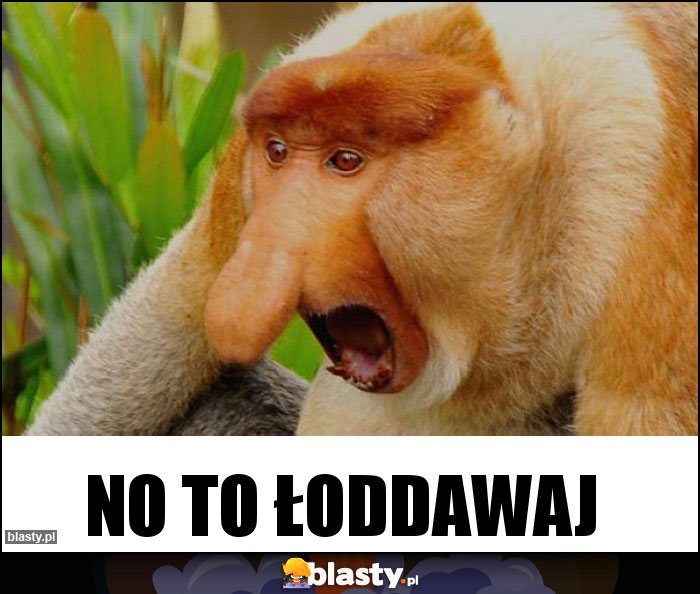 no to łoddawaj no to łoddawaj