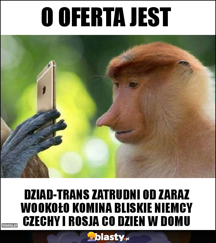 o oferta jest o oferta jest