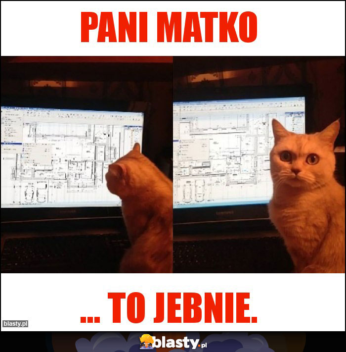Pani Matko Pani Matko