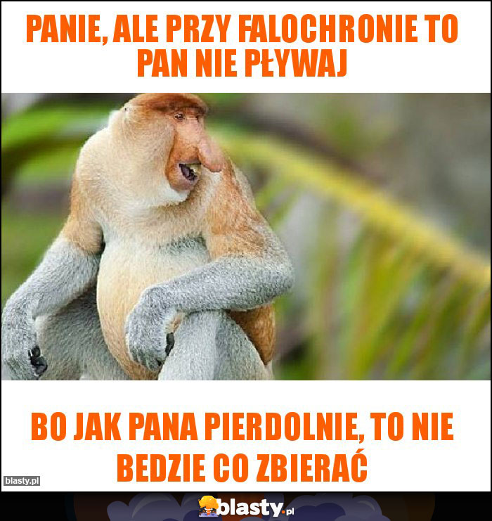 Panie, ale przy falochronie to Pan nie pływaj Panie, ale przy falochronie to Pan nie pływaj