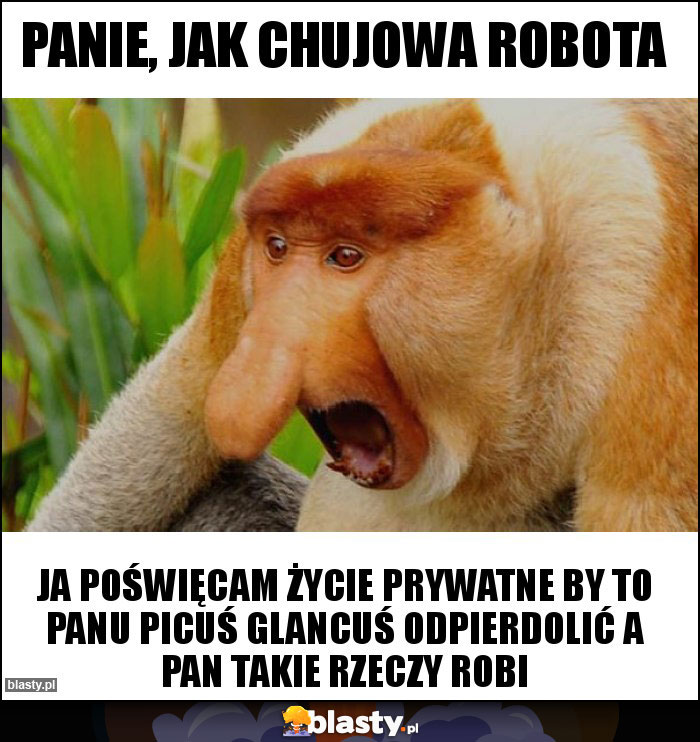 Panie, jak chujowa robota Panie, jak chujowa robota