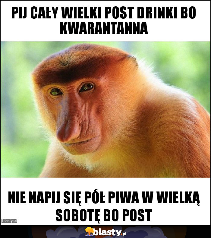 Pij cały wielki post drinki bo kwarantanna Pij cały wielki post drinki bo kwarantanna