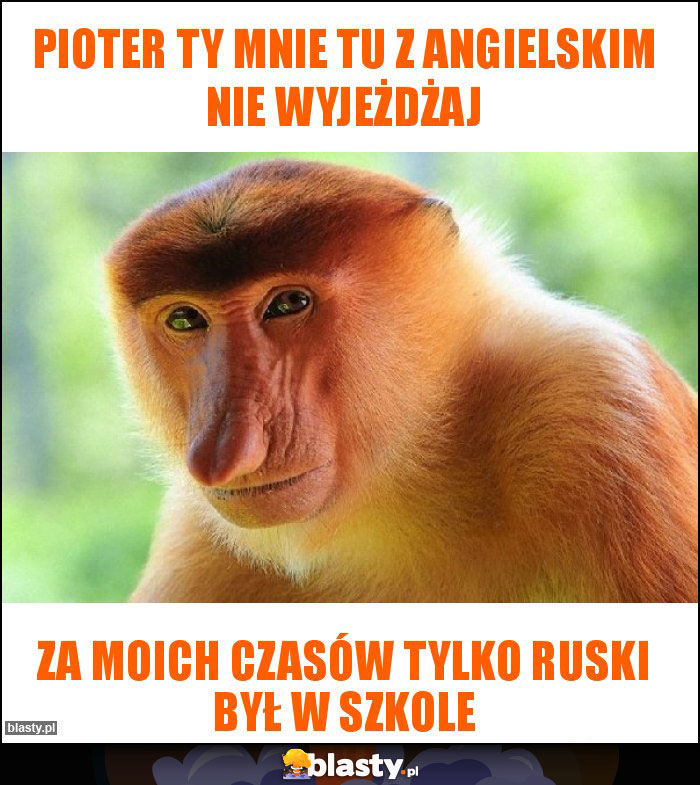 PIOTER TY MNIE TU Z ANGIELSKIM NIE WYJEŻDŻAJ PIOTER TY MNIE TU Z ANGIELSKIM NIE WYJEŻDŻAJ