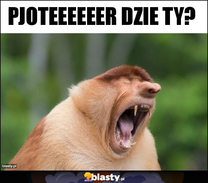 Pjoteeeeeer dzie ty? Pjoteeeeeer dzie ty?